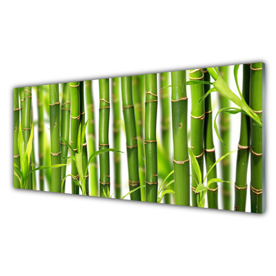 Tableaux sur verre Bambou floral vert