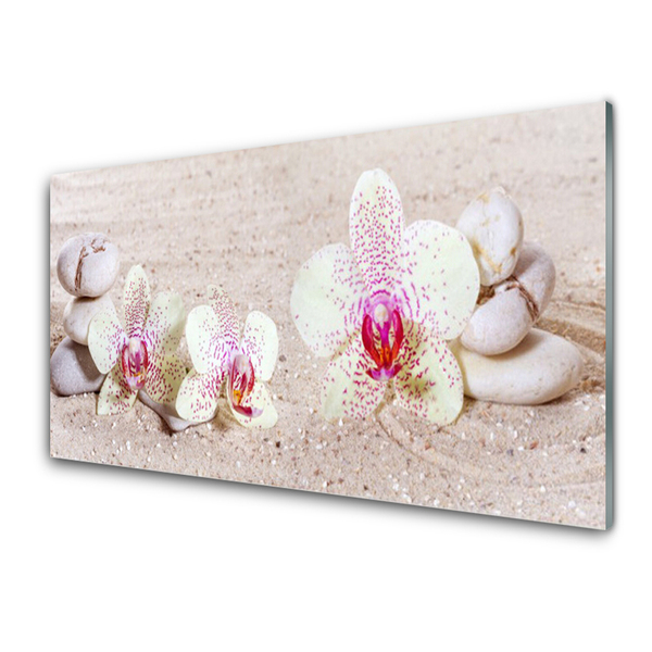 Tableaux sur verre Fleurs pierres floral blanc