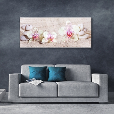 Tableaux sur verre Fleurs pierres floral blanc