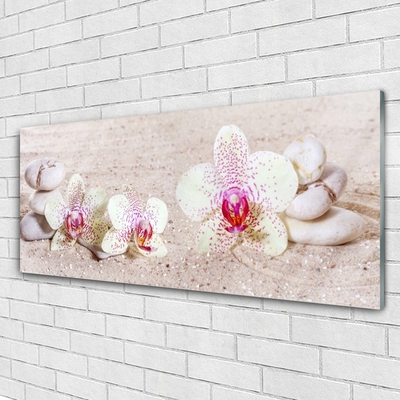 Tableaux sur verre Fleurs pierres floral blanc