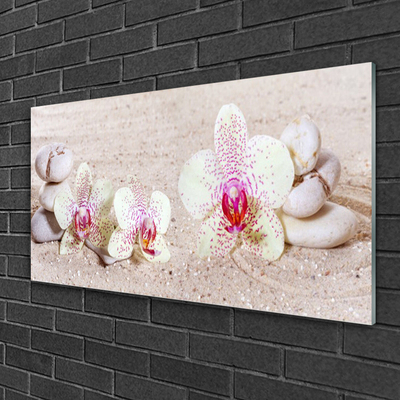 Tableaux sur verre Fleurs pierres floral blanc