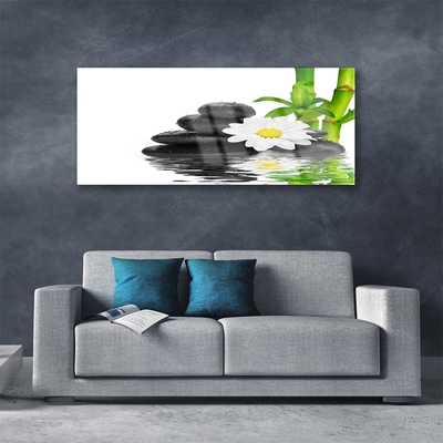 Tableaux sur verre Pierres fleurs bambou floral vert blanc noir