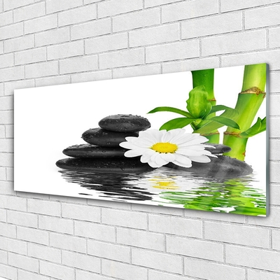 Tableaux sur verre Pierres fleurs bambou floral vert blanc noir