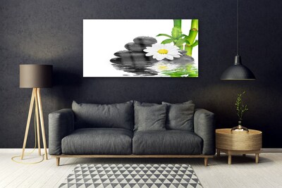 Tableaux sur verre Pierres fleurs bambou floral vert blanc noir