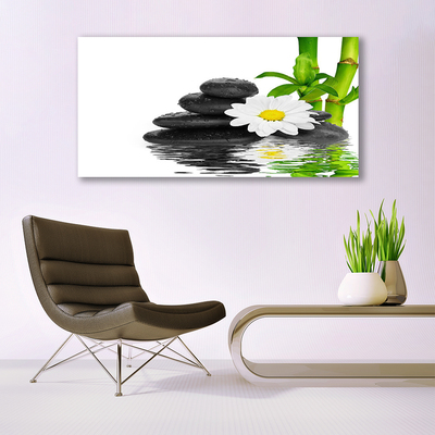 Tableaux sur verre Pierres fleurs bambou floral vert blanc noir