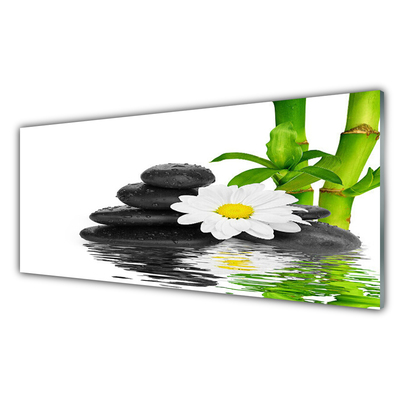 Tableaux sur verre Pierres fleurs bambou floral vert blanc noir