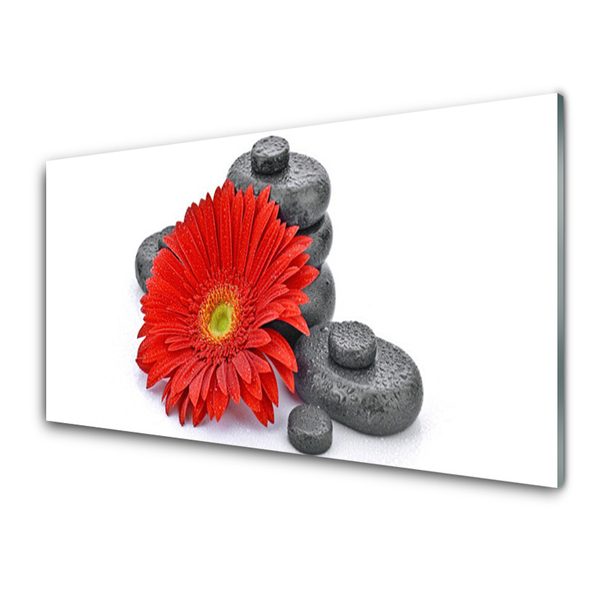 Tableaux sur verre Pierres fleurs floral rouge gris