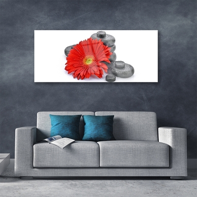 Tableaux sur verre Pierres fleurs floral rouge gris