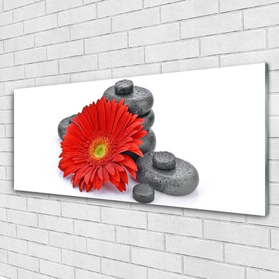 Tableaux sur verre Pierres fleurs floral rouge gris