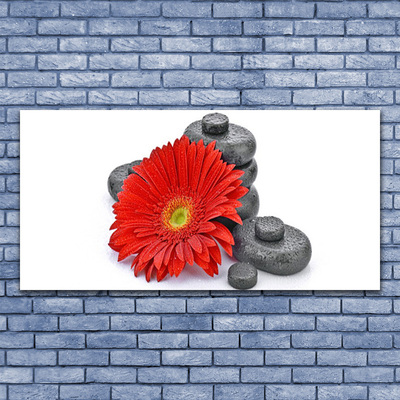 Tableaux sur verre Pierres fleurs floral rouge gris