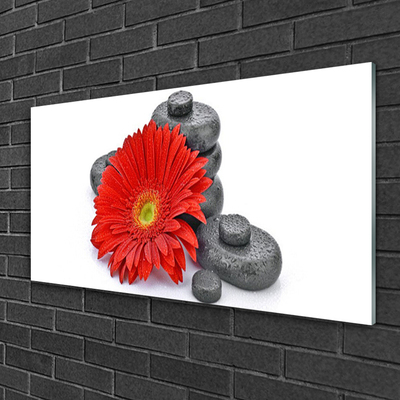 Tableaux sur verre Pierres fleurs floral rouge gris