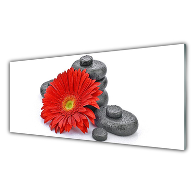 Tableaux sur verre Pierres fleurs floral rouge gris