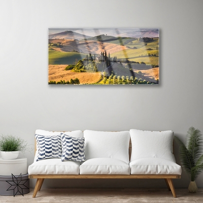 Tableaux sur verre Champ montagnes paysage vert brun