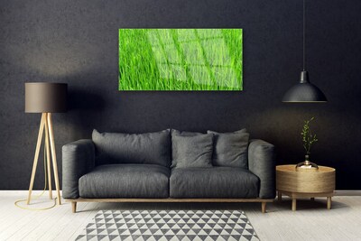 Tableaux sur verre Herbe nature vert