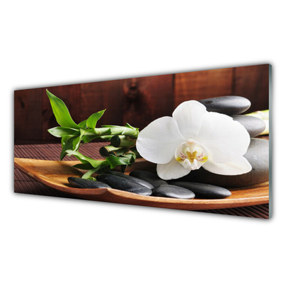 Tableaux sur verre Pierres bambou fleurs art blanc vert noir