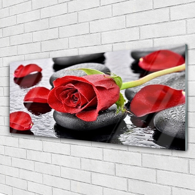 Tableaux sur verre Rose pierres floral rouge gris