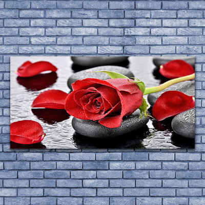 Tableaux sur verre Rose pierres floral rouge gris