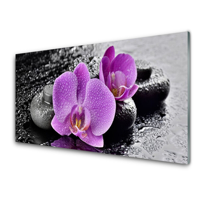 Tableaux sur verre Pierres fleurs floral rose noir gris