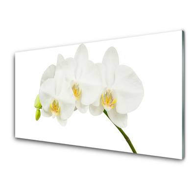 Tableaux sur verre Fleurs floral blanc