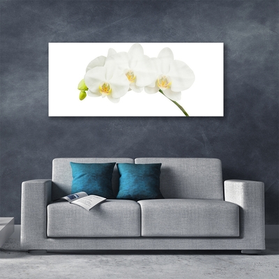 Tableaux sur verre Fleurs floral blanc