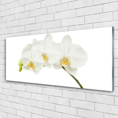 Tableaux sur verre Fleurs floral blanc