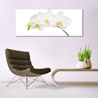 Tableaux sur verre Fleurs floral blanc