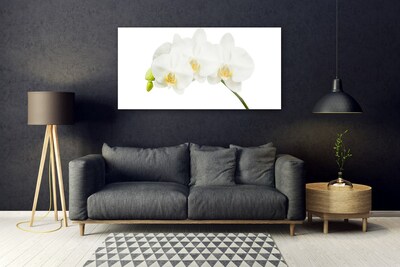 Tableaux sur verre Fleurs floral blanc