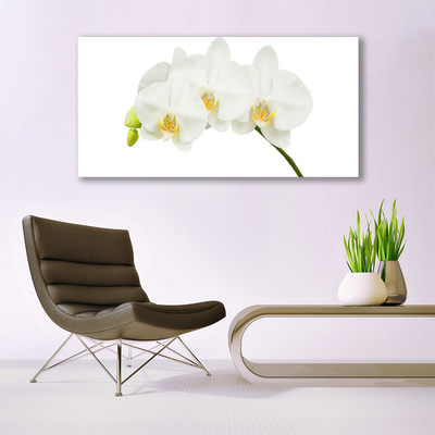 Tableaux sur verre Fleurs floral blanc