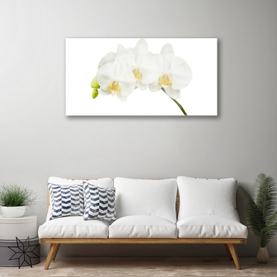 Tableaux sur verre Fleurs floral blanc