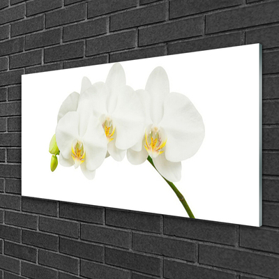 Tableaux sur verre Fleurs floral blanc