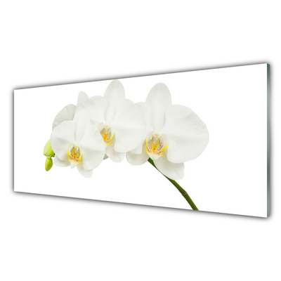 Tableaux sur verre Fleurs floral blanc