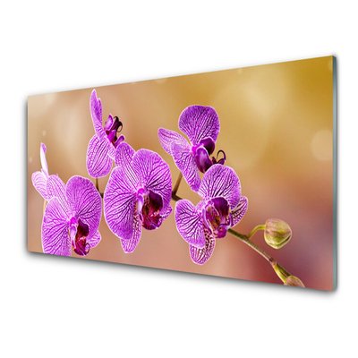 Tableaux sur verre Fleurs floral rose