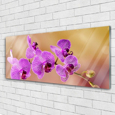 Tableaux sur verre Fleurs floral rose