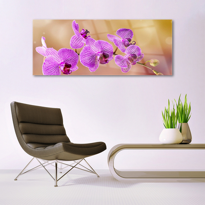 Tableaux sur verre Fleurs floral rose