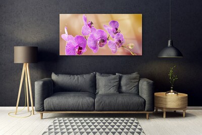 Tableaux sur verre Fleurs floral rose