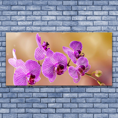 Tableaux sur verre Fleurs floral rose