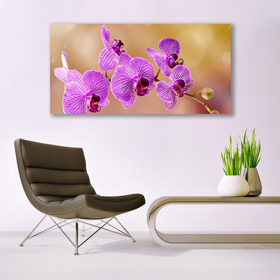 Tableaux sur verre Fleurs floral rose