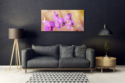 Tableaux sur verre Fleurs floral rose