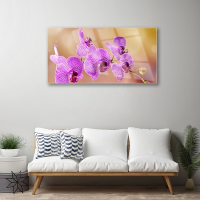 Tableaux sur verre Fleurs floral rose