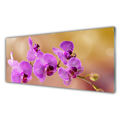 Tableaux sur verre Fleurs floral rose