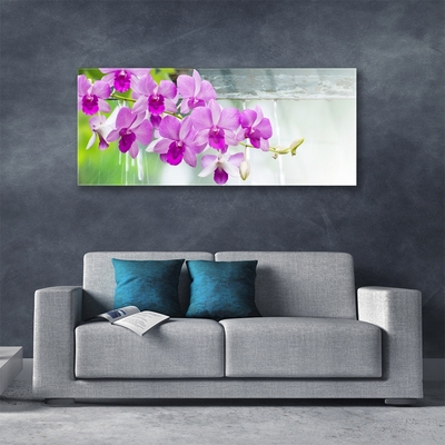 Tableaux sur verre Fleurs floral rose