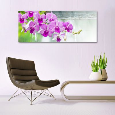 Tableaux sur verre Fleurs floral rose