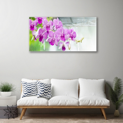 Tableaux sur verre Fleurs floral rose