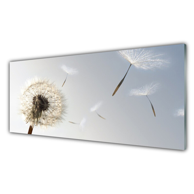 Tableaux sur verre Pissenlit floral blanc gris
