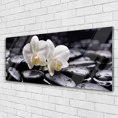 Tableaux sur verre Pierres fleurs art blanc noir