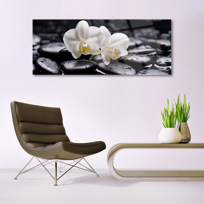 Tableaux sur verre Pierres fleurs art blanc noir
