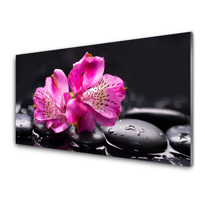 Tableaux sur verre Fleurs pierres floral rouge noir