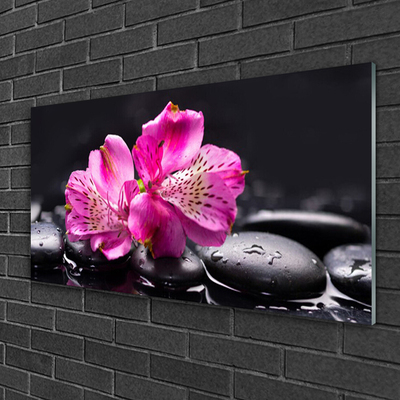 Tableaux sur verre Fleurs pierres floral rouge noir