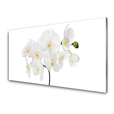 Tableaux sur verre Fleurs floral blanc