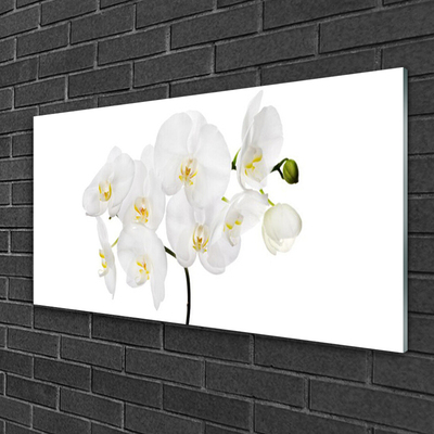 Tableaux sur verre Fleurs floral blanc